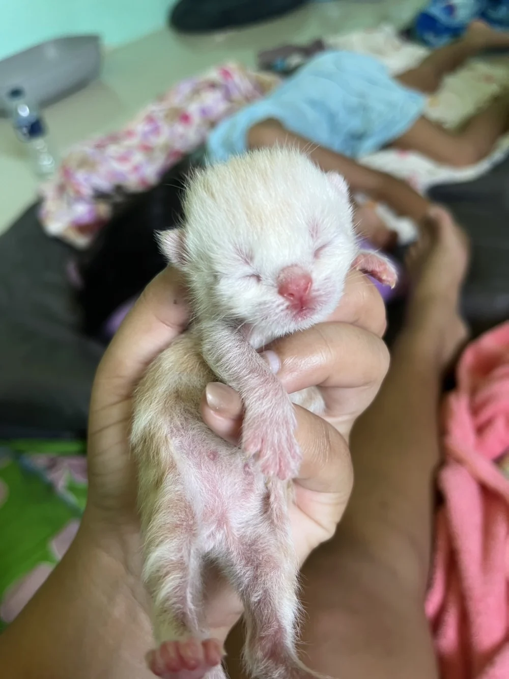 They start out small
