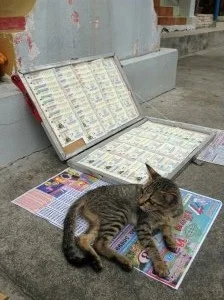 Lucky Cat