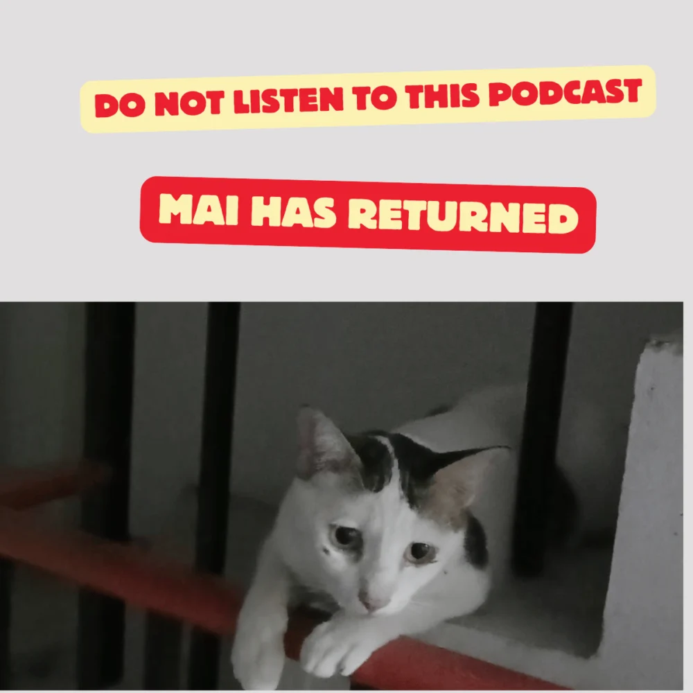 Mai Has Returned!!!