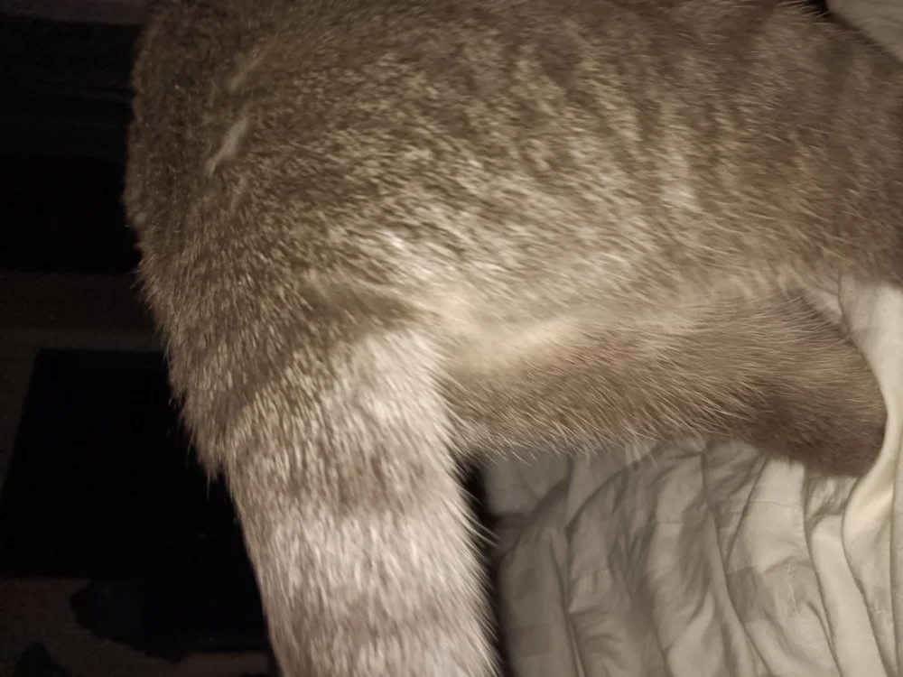 My Morning Wake-Up Call