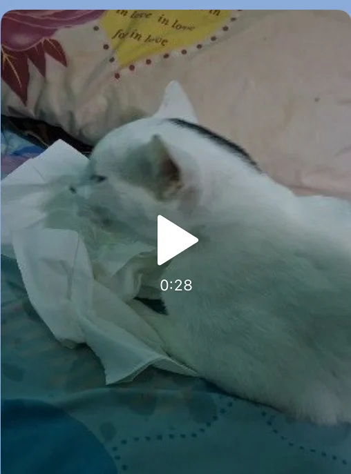 Sick Friend