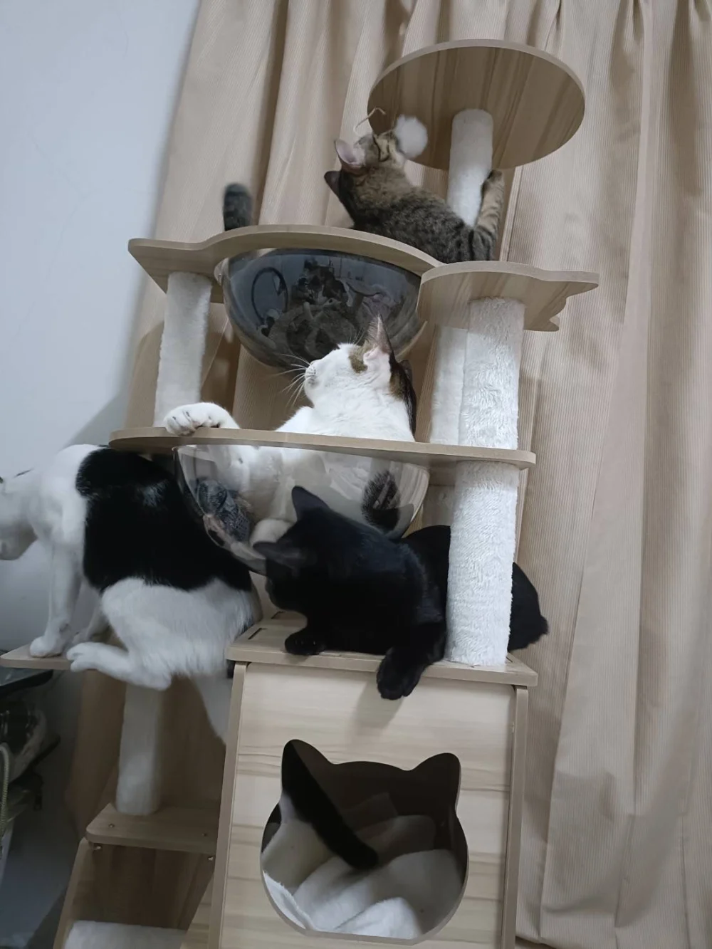 Are They Spoiled?